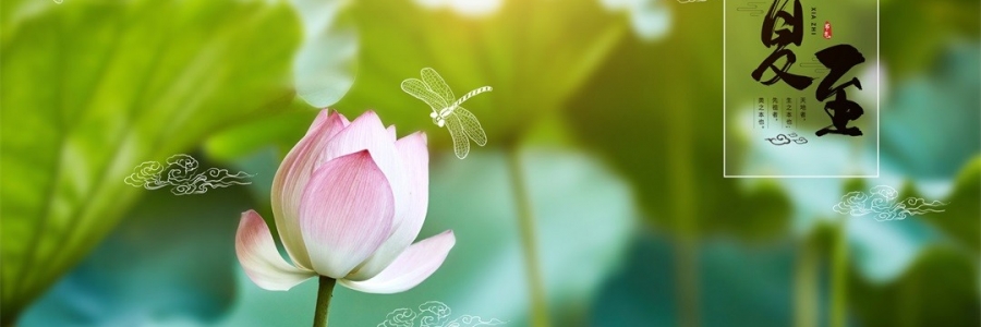 夏至 | 陽(yáng)極陰生，美好日長(zhǎng)