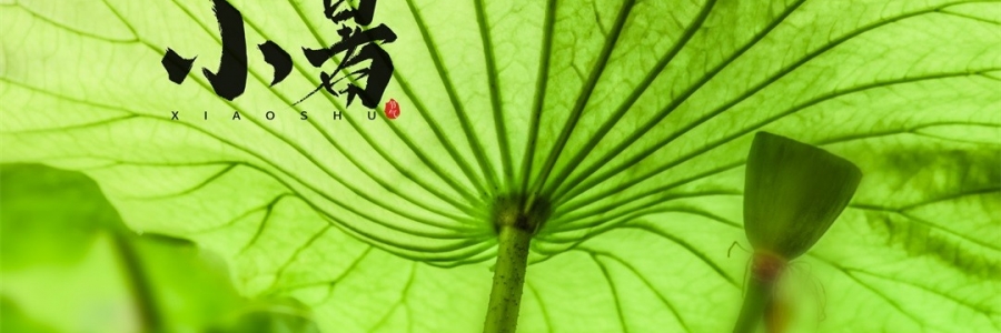 小暑 | 暑熱如歌，心靜生涼