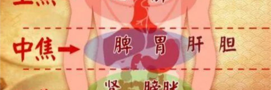 突破600億播放量的《羅剎海市》，竟然還暗藏中醫奧秘？