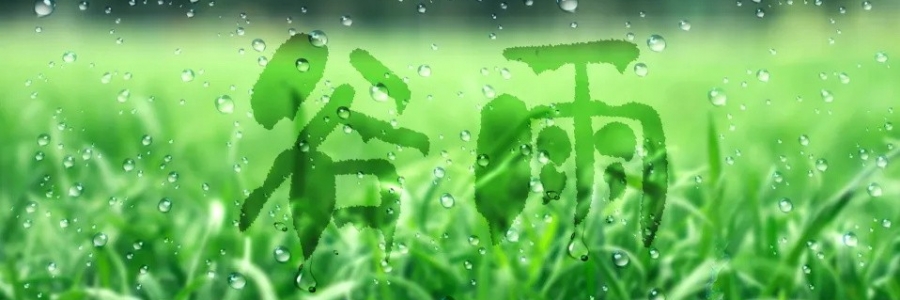 谷雨丨健脾祛濕，安然迎夏