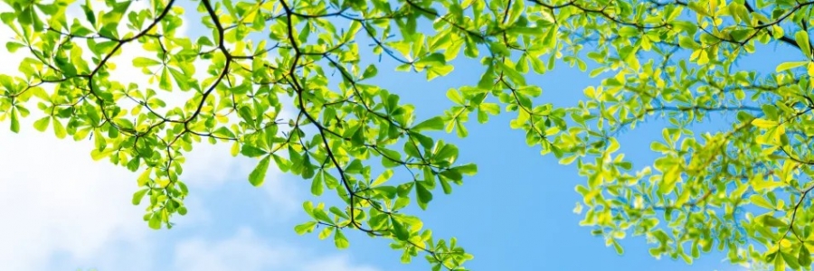 警告：夏天千萬不能做的5件事！快來看看~