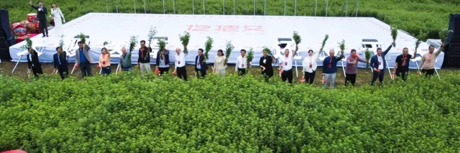 大事記丨“千年弦歌·仡佬醫藥”務川仡佬艾草文化節圓滿成功