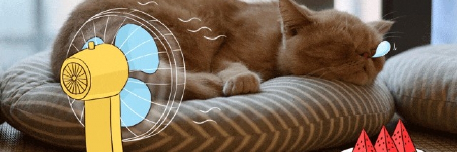 越睡越困的夏天，一個穴位趕走疲倦……