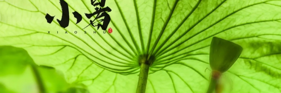 小暑丨避暑養心，準備入伏