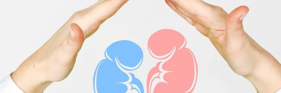 兩個(gè)人體的“長壽穴”，每天揉一揉，健康又長壽