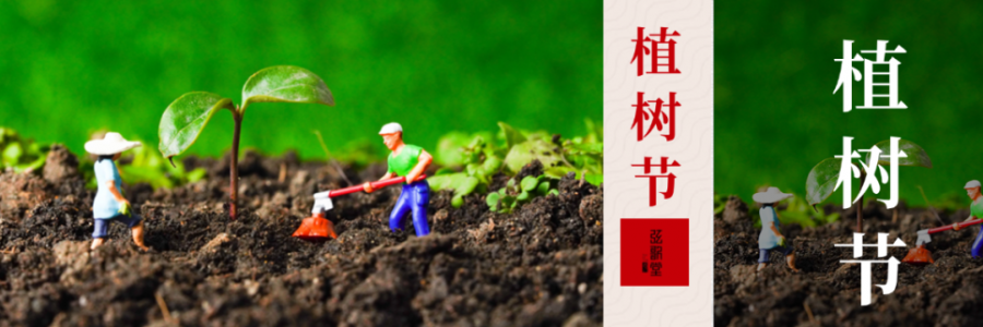 外植綠樹，內養肝木，別忘給身體也“種下”護肝種子！