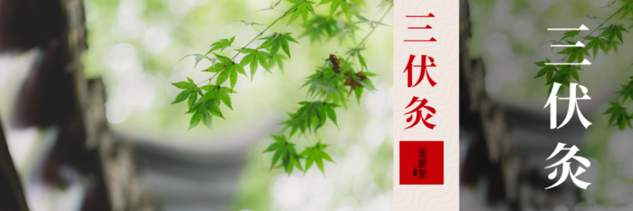 中伏 | 伏藏陽，冬不慌！三伏過半，抓緊養陽黃金期