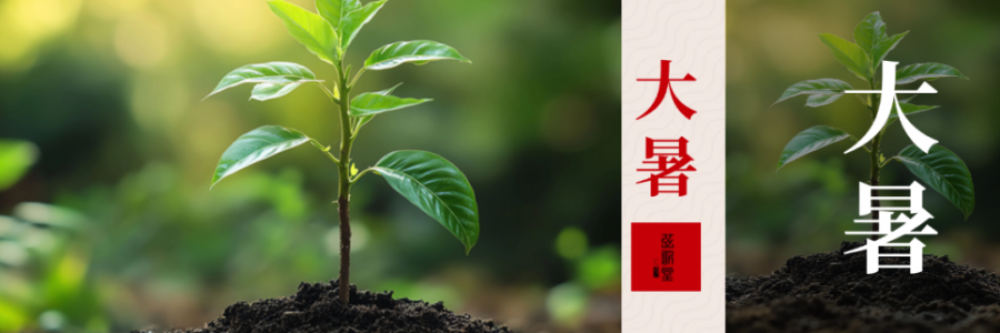 大暑｜極熱濕盛 祛濕固陽